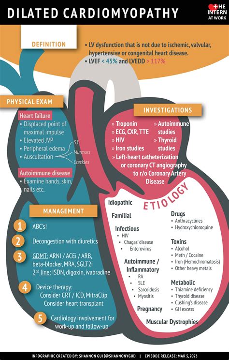 lv dilated cardiomyopathy|dilated cardiomyopathy patient education.